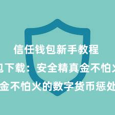 信任钱包新手教程 信任钱包下载：安全精真金不怕火的数字货币惩处器具